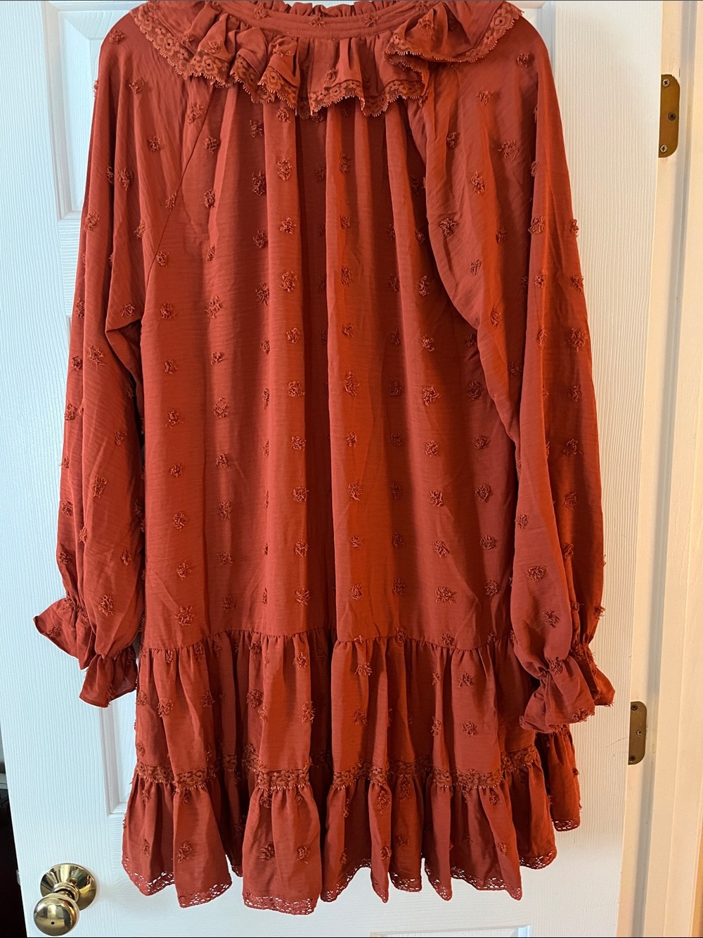 Easel NWT Rust Dress Size Large. - Picture 5 of 5